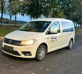 Volkswagen Caddy 2.0DSG Maxi 7sitzer Mit R... - Volkswagen Caddy: Kleinwagen