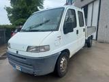 Fiat Ducato 7 POSTI CASSONATO - gebrauchte Fiat Ducato aus dem Jahr 1999