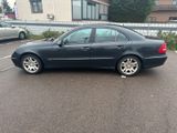 Mercedes-Benz E 350 AVANTGARDE Avantgarde - Mercedes-Benz E 350 mit LPG-Antrieb