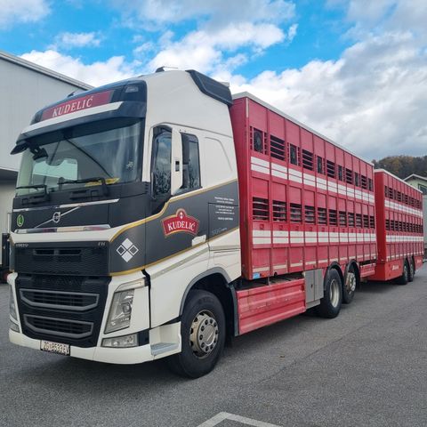 Volvo FH 500 LIVESTOCK