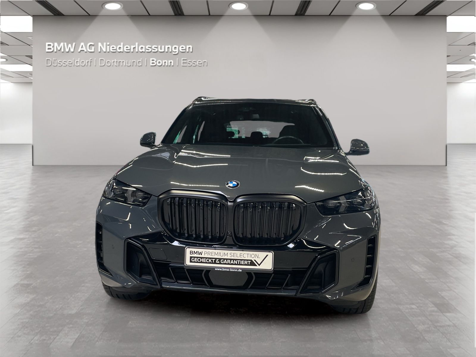 BMW X5 xDrive30d M Sport AHK Driv.Assist.Prof LED foto 5