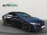 Jaguar XE 20d Ingenium R-Sport | Leder | Xenon | Kamera - Jaguar: I