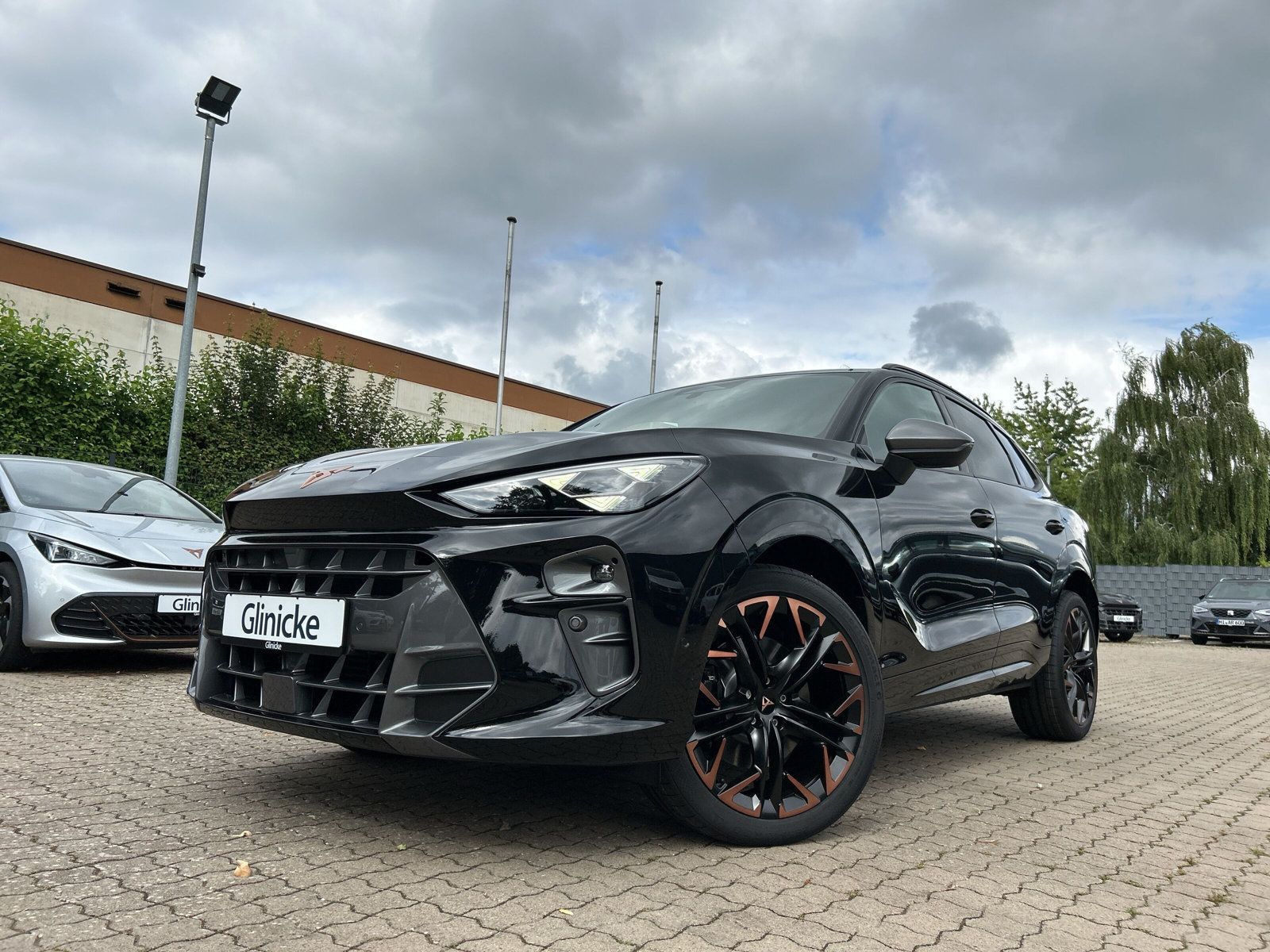 Cupra Terramar - Bild 9