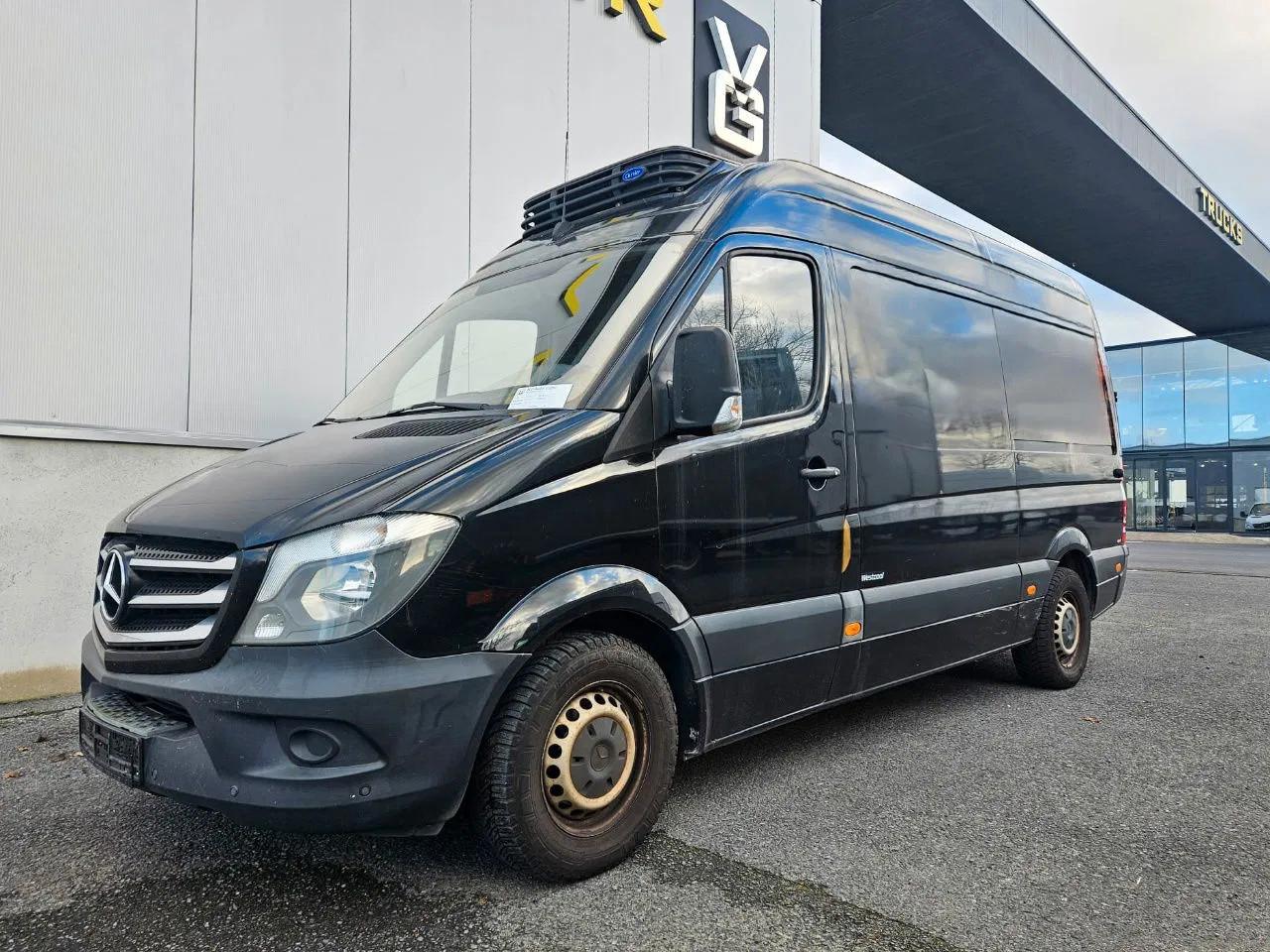 Mercedes-Benz Sprinter 313