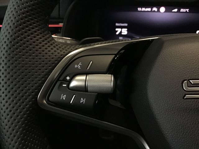 Fahrzeugabbildung Skoda Kamiq Monte Carlo1.5 TSI DSG/AHK/Pano/Matrix