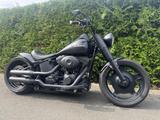 Harley-Davidson FLSTN - Angebote
