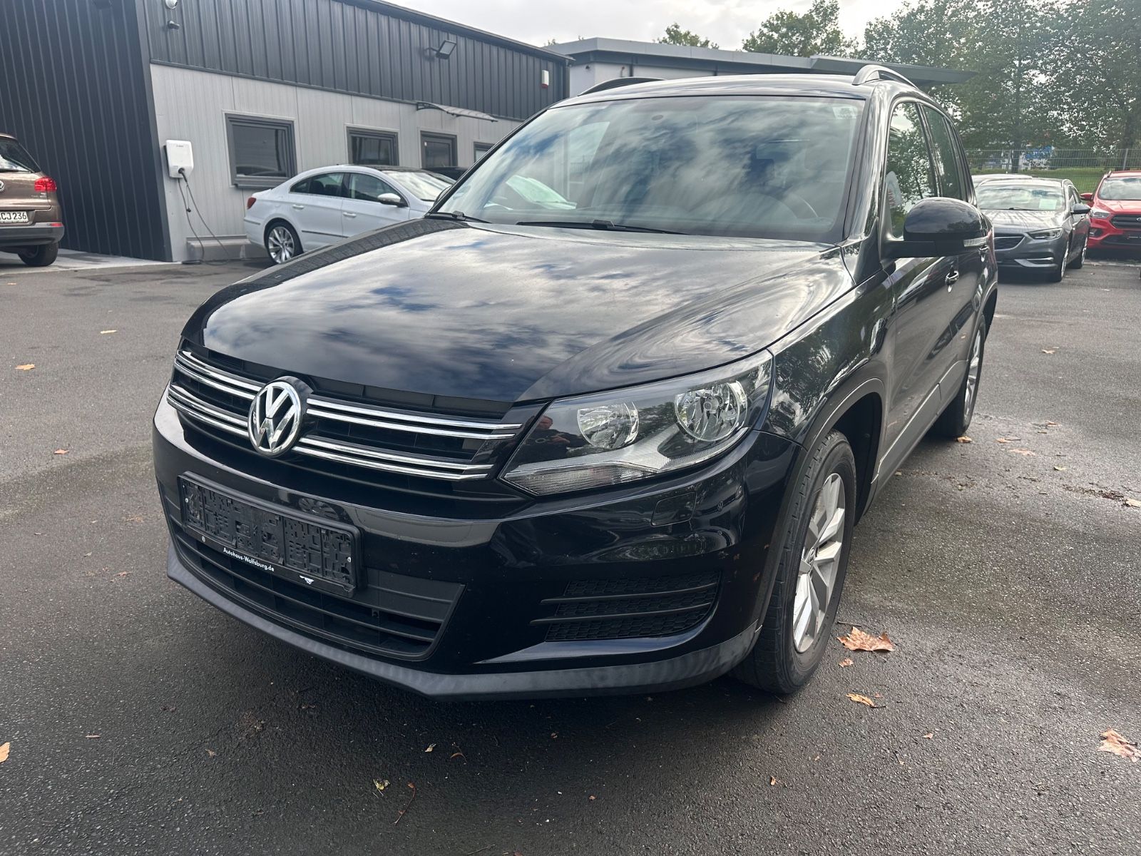 Volkswagen Tiguan - 1