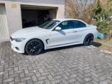 BMW 428i Cabrio Alu 19" M Sportpaket HUD HK HiFi - BMW 428 Cabrio Gebrauchtwagen