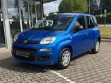 Fiat Panda 1.0 Hybrid MY'25 + City Paket *PDC hi*ZV*B - Fiat Panda in Hagen