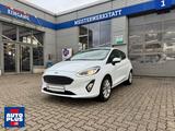 Ford Fiesta 1.0 S&S Aut. TITANIUM NAVI+SITZHZG+CAM - Ford Fiesta Gebrauchtwagen in Braunschweig