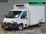 Fiat Ducato 150pk Koelwagen Vries Carrier Xarios 350 - Offers matching your search criteria