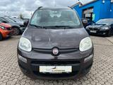 Fiat Panda Lounge - gebrauchte Fiat Panda aus dem Jahr 2012