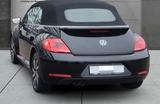 Volkswagen Beetle Cabriolet Club BMT/Voll Leder/Bi-Xenon/Na - Volkswagen New Beetle: Automatik