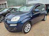 Fiat Panda Lounge 1,3 - gebrauchte Fiat Panda aus dem Jahr 2017
