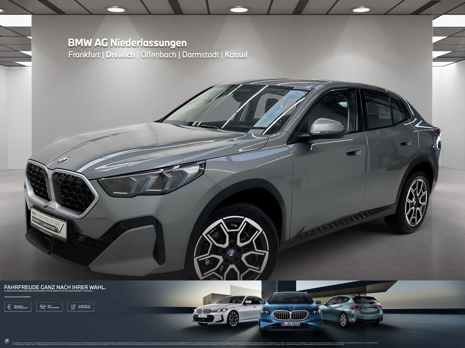 BMW X2 sDrive20i Driv.Assist.Prof LiveCockpitProf