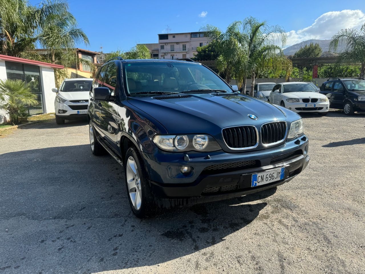 BMW BMW Bmw X5 3.0d cat