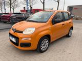 Fiat Panda 1.2 Easy Klima Inkl. 12M Garantie! TÜV Neu - Fiat: Orange