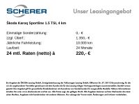 Skoda Karoq - Vorschau Bild 3