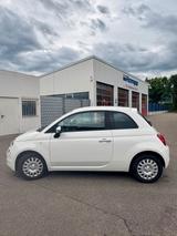 Fiat 500 1.0 GSE Mild / Hybrid / Weiß - Fiat 500: Weis