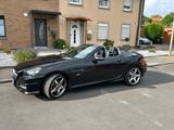 Mercedes-Benz SLK 250 BlueEFF. Edition 1 Autom. Edition 1 - Mercedes-Benz SLK-Klasse mit Panoramadach