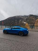 Ford Mustang 5.0 Schalter  MACH 1 NETTO RECARO EU - Ford Mustang Mach mit Benzin-Antrieb