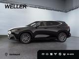 Lexus NX 350h Executive Line *360*Navi*LED*el Heck*SHZ - Lexus aus 2024: Nx