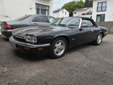 Jaguar XJS - Jaguar XJS aus 1995