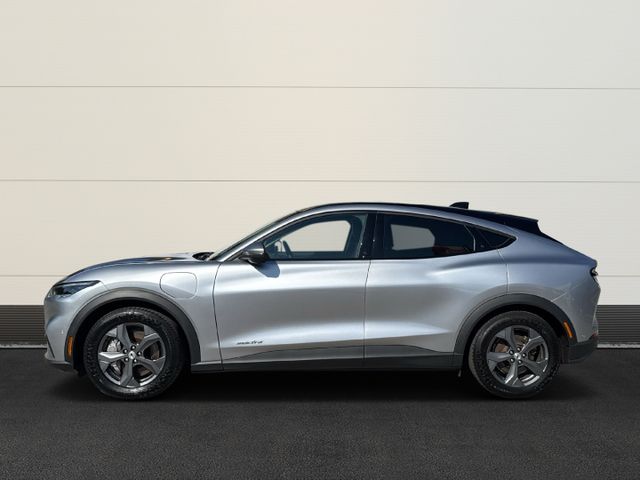 Ford Mustang MACH-E RWD 75kWh Tech-Pkt. 2, Panodach, 
