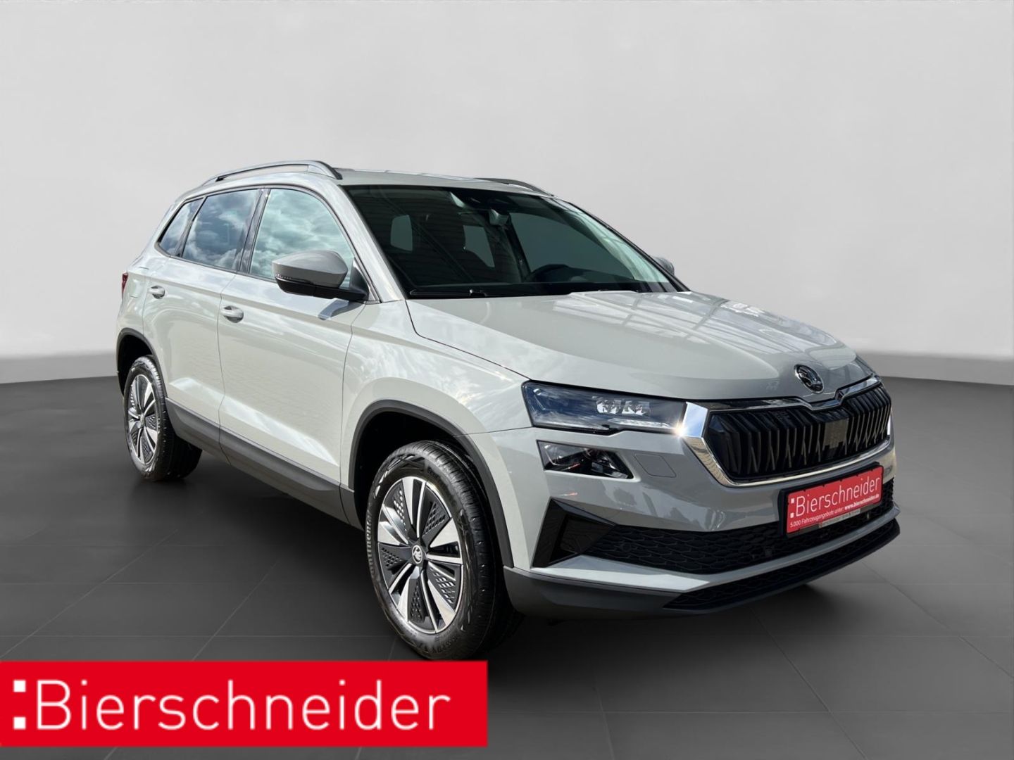 Skoda Karoq - Bild 9