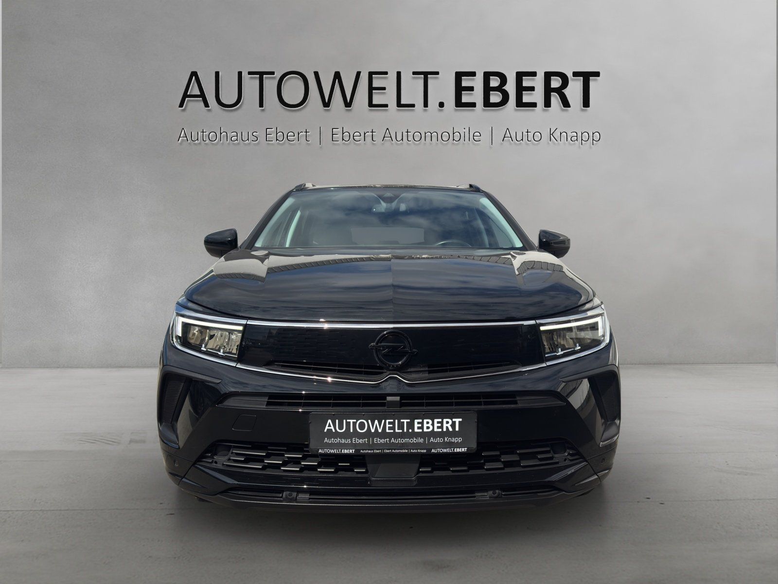 Fahrzeugabbildung Opel Grandland 1.2 Turbo Aut. GS Line/KAMERA/SHZ/NAVI