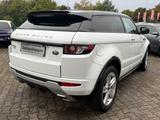 Land Rover Range Rover Evoque Dynamic - Land Rover Range Rover Evoque in Köln