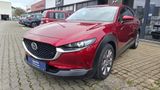 Mazda CX-30 Skyactiv-G 2.0 SELECTION DESIGN+ACT+BOSE - Mazda: De