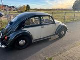 Volkswagen VW Käfer Bj. 1953 - Liebhaberfahrzeug - Reimport - Reimport gebraucht
