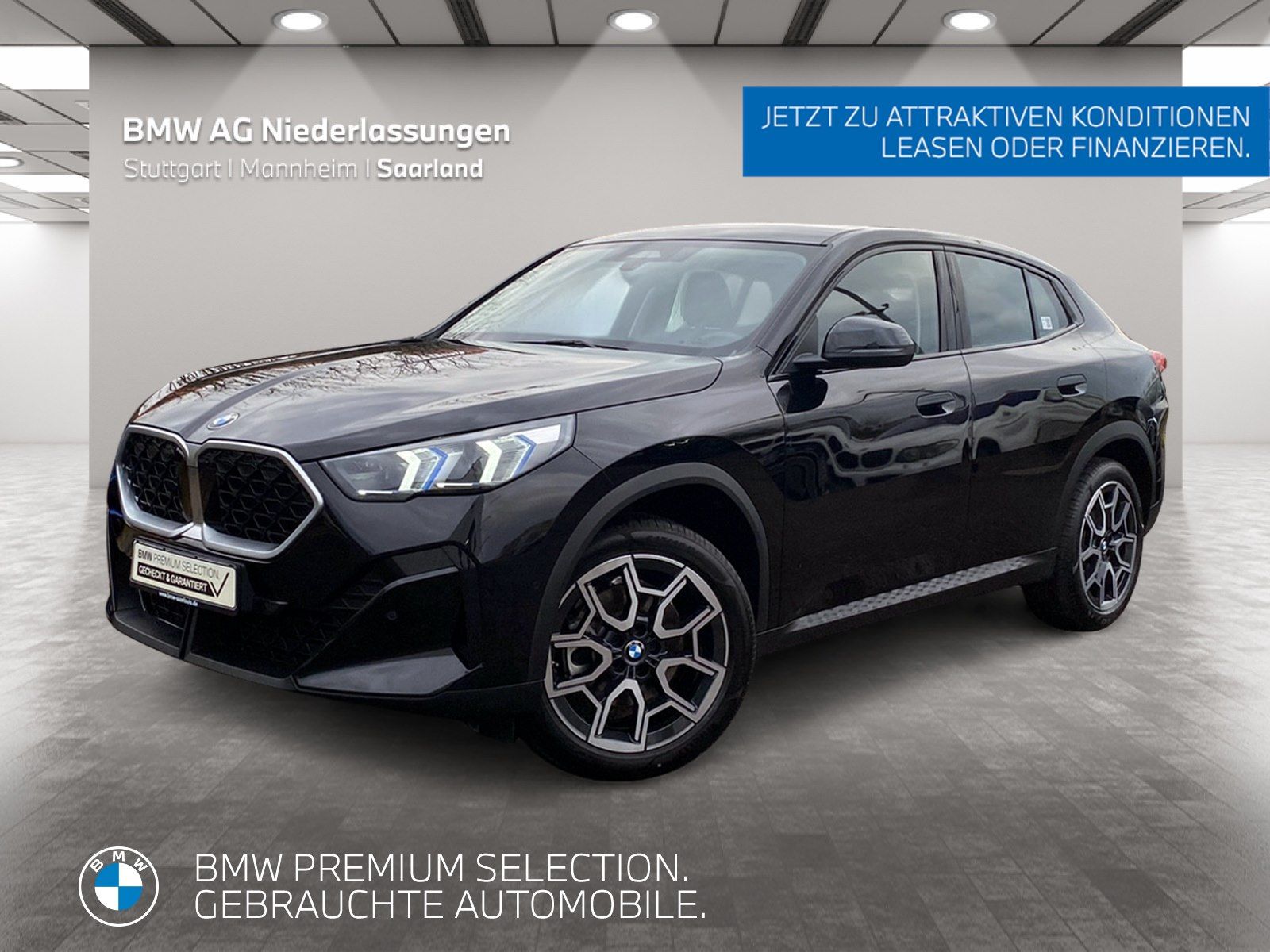 BMW X2 sDrive20i AHK Kamera Driv.Assist LED