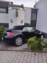 Volkswagen Beetle 1.2 TSI BMT CLUB Cabriolet CLUB - Volkswagen Beetle: Club