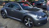 Volkswagen Beetle 1.2 TSI BMT CUP CUP - Volkswagen Beetle mit Panoramadach