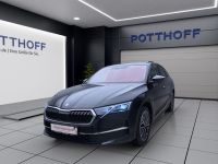 Skoda Octavia - Vorschau Bild 2