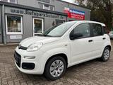 Fiat Panda 5-TÜRIG°KLIMA°ALLWETTER°ZR-GEWECHSELT! - Fiat Panda: Weiß