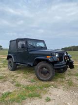 Jeep Wrangler 2.5 YJ Bj. 92 - Jeep aus 1992