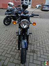 Benelli Imperiale 400 Euro 5 - Offers matching your search criteria