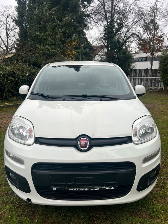 Image of Fiat Panda