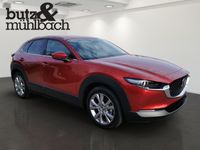 Mazda CX-30 - Vorschau Bild 2