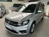 Volkswagen Caddy Maxi Behindertengerecht Rampe/AMF-Bruns - Behindertengerechte Autos mit Rampe