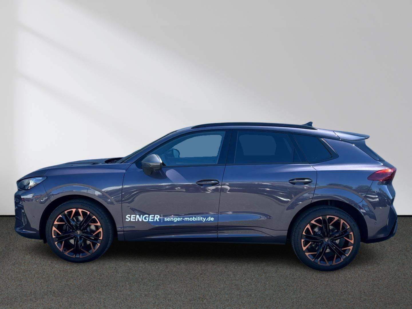 Cupra Terramar VZ 2.0 TSI 4D HD-Matrix PANO AHK Leder