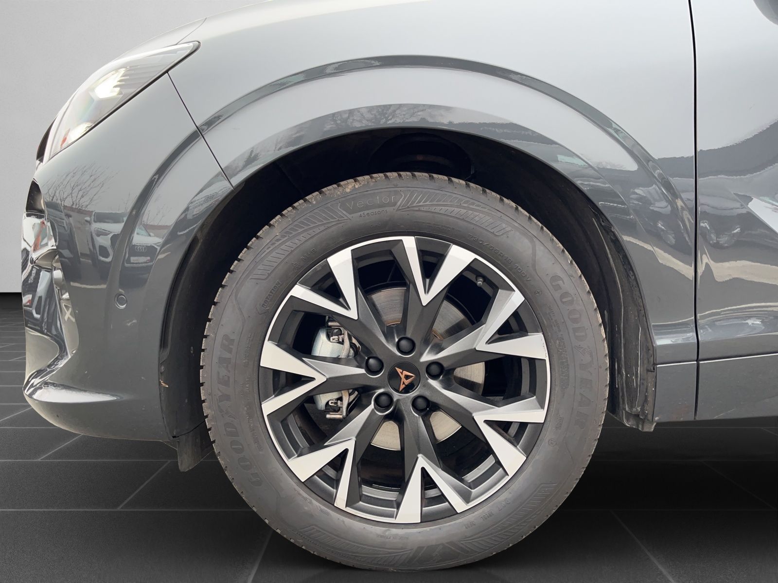 Cupra Terramar - Bild 8