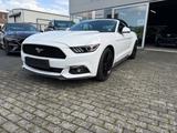 Ford Mustang 2.3 EcoBoost Cabrio* EU-Mod* - Ford Mustang Gebrauchtwagen in Köln
