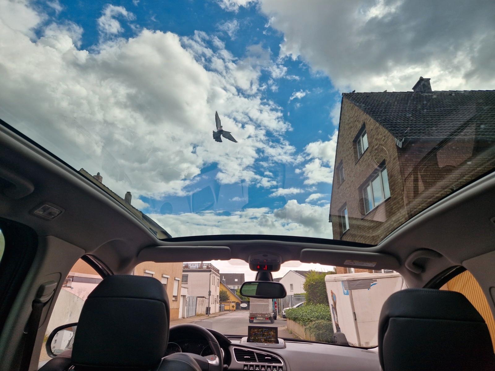 Peugeot 3008 Allure/3Jahre Garantie+Gewährlstng+Inspektn