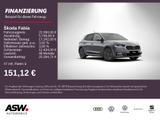 Skoda Fabia Tour 1,0 TSI 95PS SHZ Kamera PDC 50L Tank - Skoda Fabia Neuwagen
