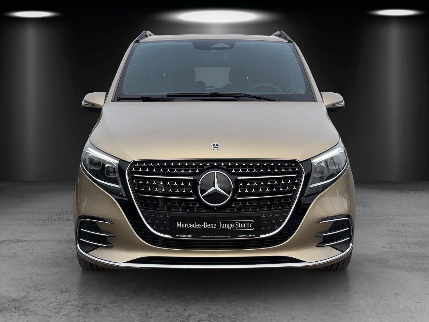 Fahrzeugabbildung Mercedes-Benz V 300 d L 4M EXCLUSIVE AMG AIRMATIC AHK Standhzg