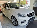 Mercedes-Benz ML 350 CDI*AMG*S-DACH*ST-HEIZUNG*ASSIST*S-HEFT - Mercedes-Benz ML 350 Gebrauchtwagen in Stuttgart